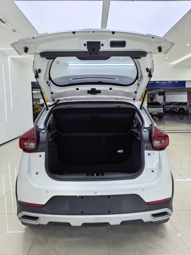 Chery Tiggo 3x 2021 imagen de coche #15