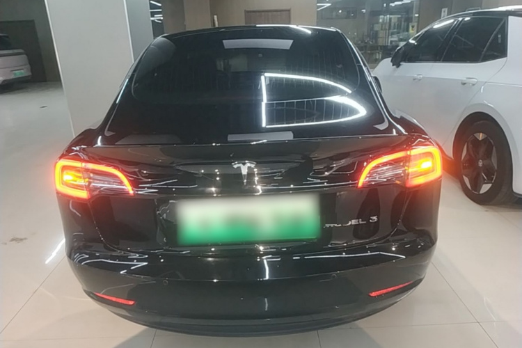 Tesla Model 3 2020 car image #6