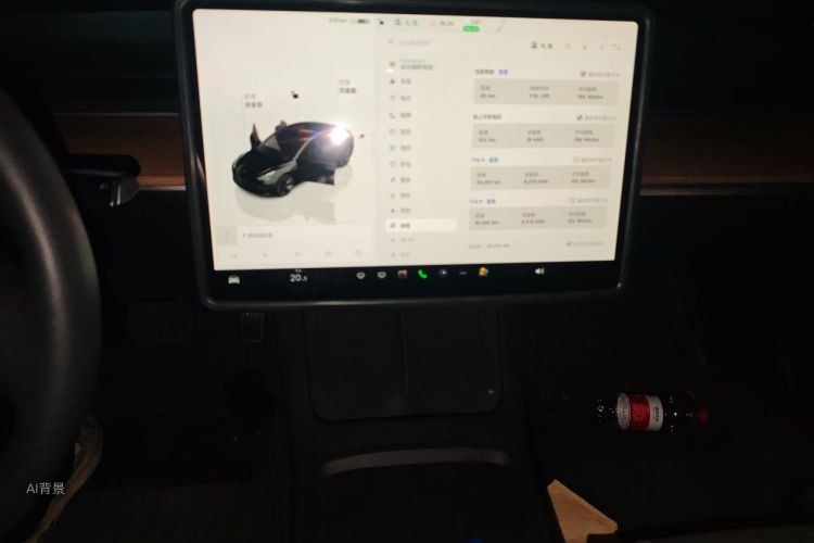 Tesla Model 3 2023 car image #15