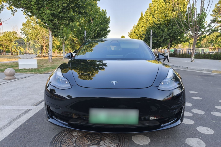 Tesla Model 3 2021 car image #4