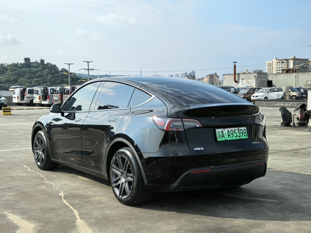 Tesla Model Y 2024 car image #4