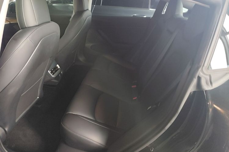 Tesla Model 3 2021 #17 Tesla Model 3 2021 car image #17