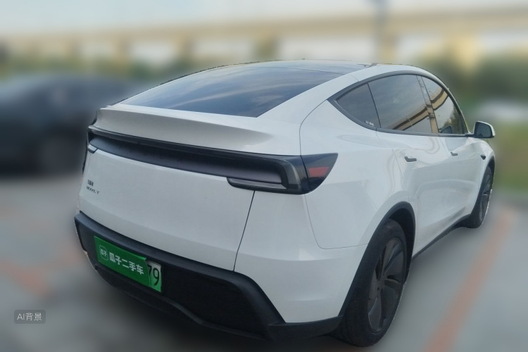Tesla Model Y 2025 car image #7