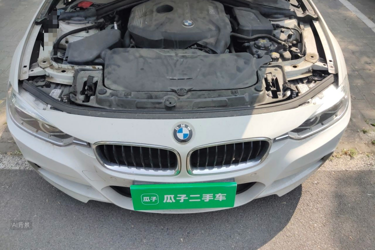 BMW 3 Series 2017 car image #22