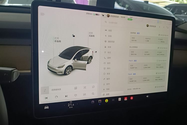 Tesla Model Y 2021 #13 Tesla Model Y 2021 car image #13