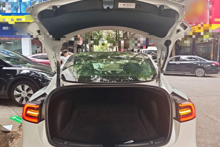 Tesla Model 3 2022 immagine di auto #19