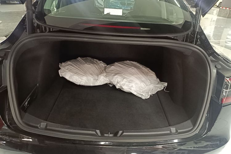 Tesla Model 3 2022 صورة سيارة #21