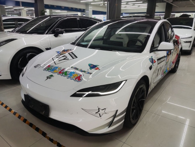 Tesla Model 3 2024 Tesla Model 3 2024 car image