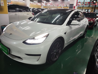 Tesla Model 3 2020 Tesla Model 3 2020 car image