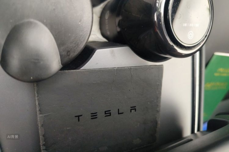 Tesla Model 3 2021 #10 Tesla Model 3 2021 car image #10