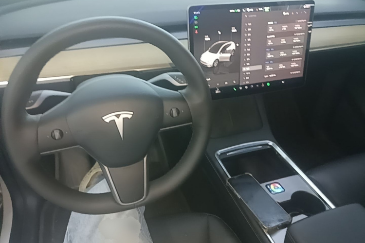 Tesla Model Y 2023 car image #10