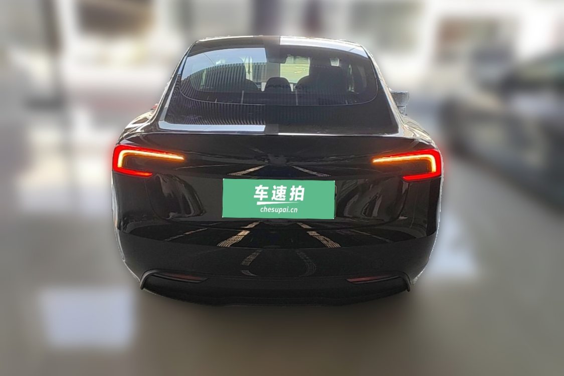 Tesla Model 3 2023 car image #6