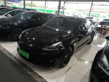 Tesla Model 3 2021 car image 