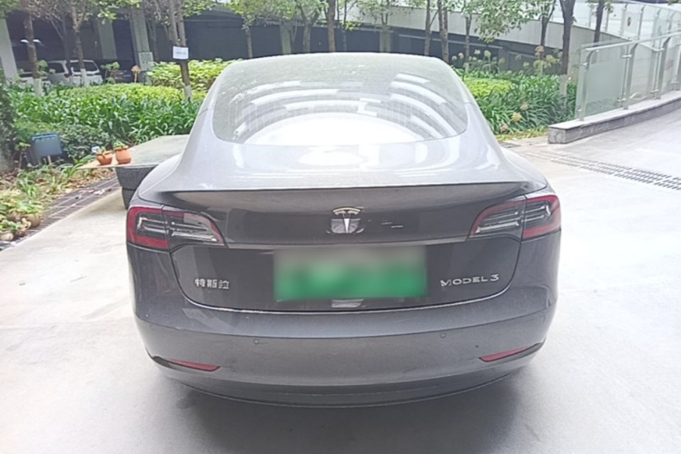 Tesla Model 3 2020 #6 Tesla Model 3 2020 car image #6