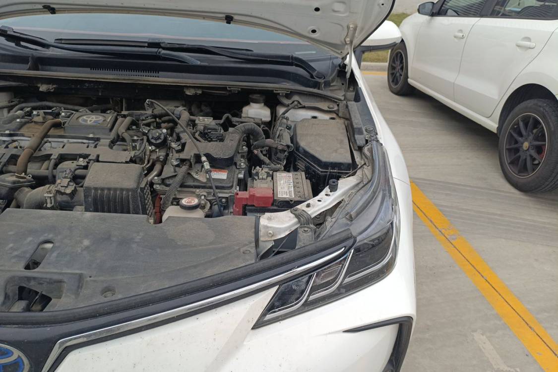 Toyota Corolla 2023 immagine di auto #12