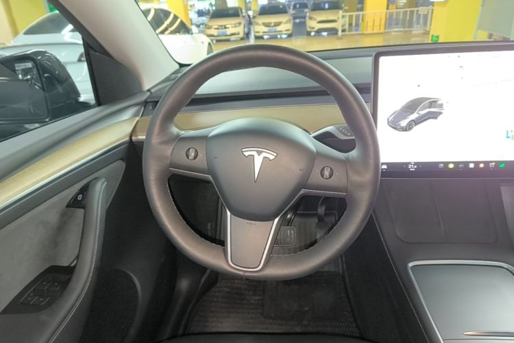 Tesla Model Y 2021 car image #11