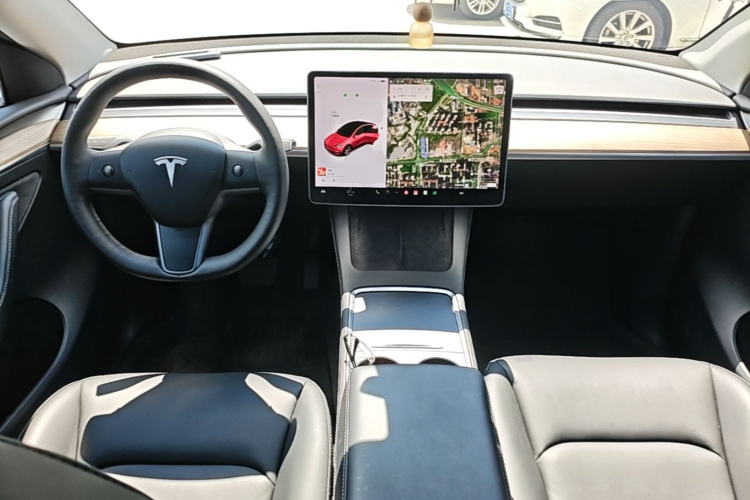 Tesla Model Y 2021 immagine di auto #10