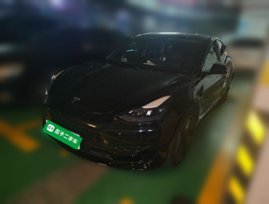 Tesla Model 3 2023 Tesla Model 3 2023 car image