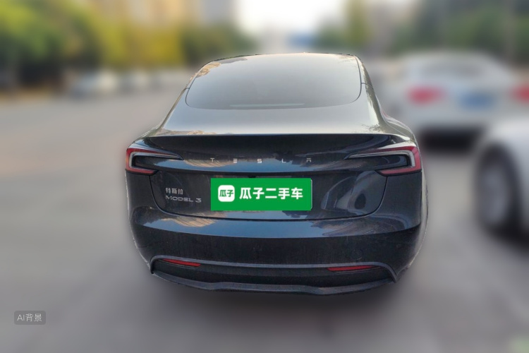 Tesla Model 3 2024 car image #6