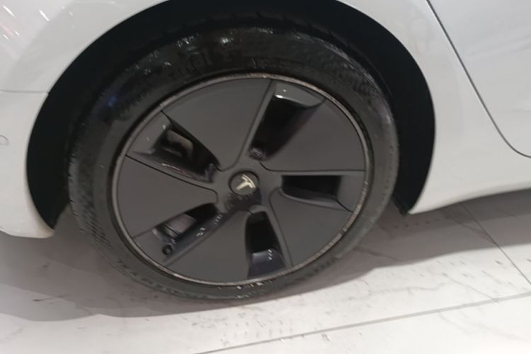 Tesla Model 3 2021 car image #10
