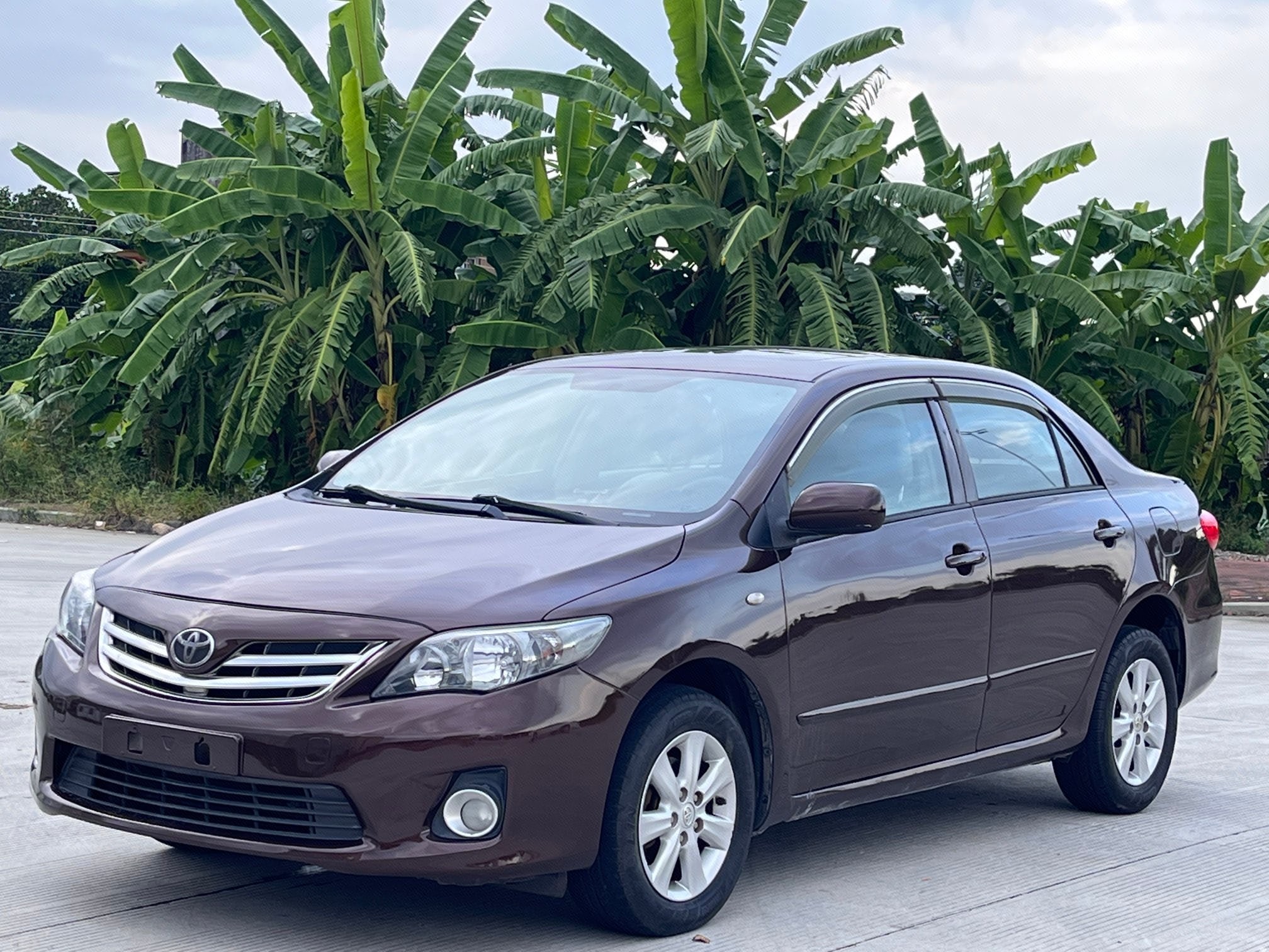 Toyota Corolla 2013 Toyota Corolla 2013 car image
