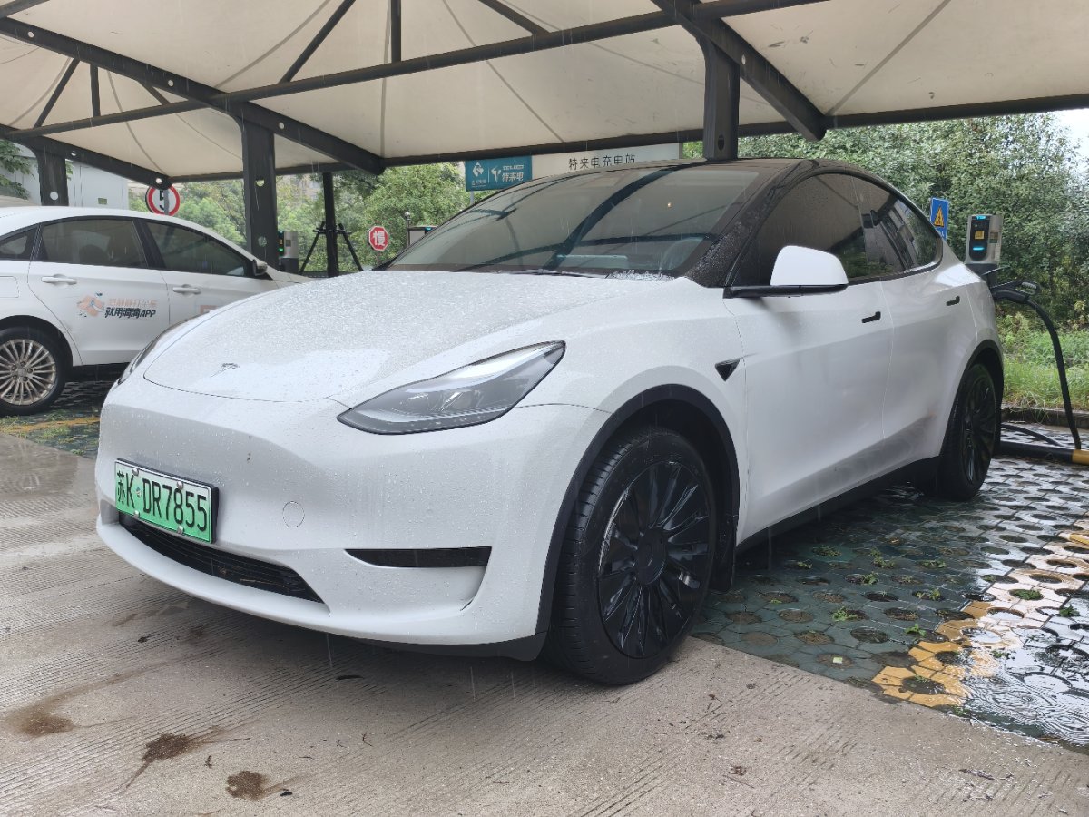 Tesla Model Y 2022 car image #2