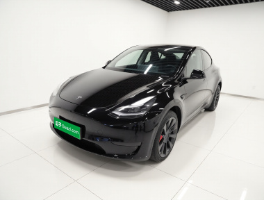 Tesla Model Y 2023 car image 