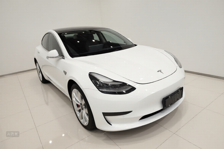 Tesla Model 3 2020 car image #4