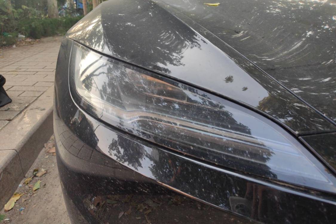 Tesla Model 3 2023 car image #7