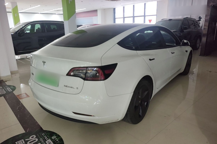 Tesla Model 3 2021 #7 Tesla Model 3 2021 car image #7