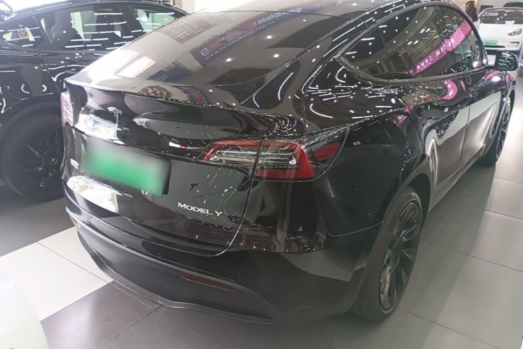 Tesla Model Y 2021 car image #5