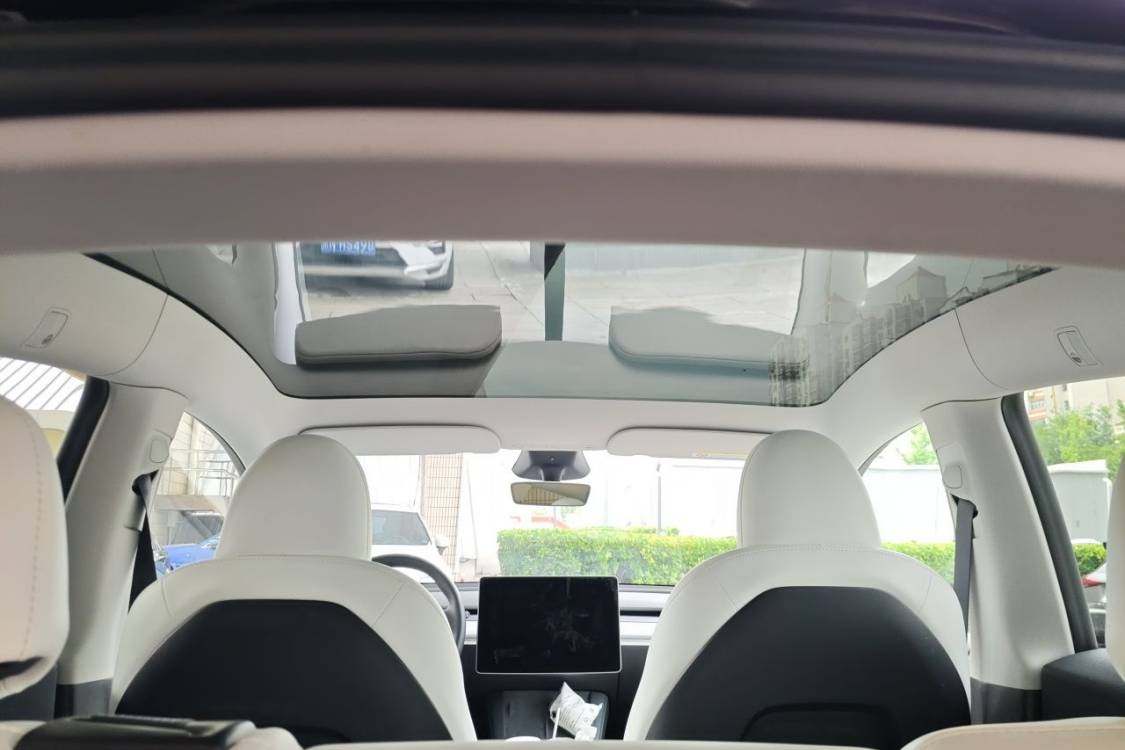Tesla Model Y 2024 car image #23