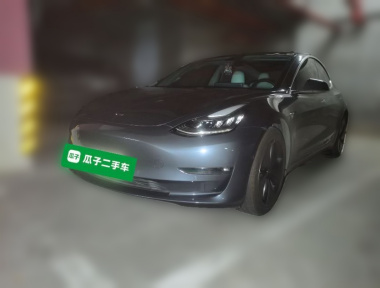 Tesla Model 3 2020 car image 