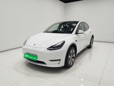 Tesla Model Y 2022 Tesla Model Y 2022 car image