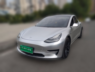 Tesla Model 3 2020 car image 