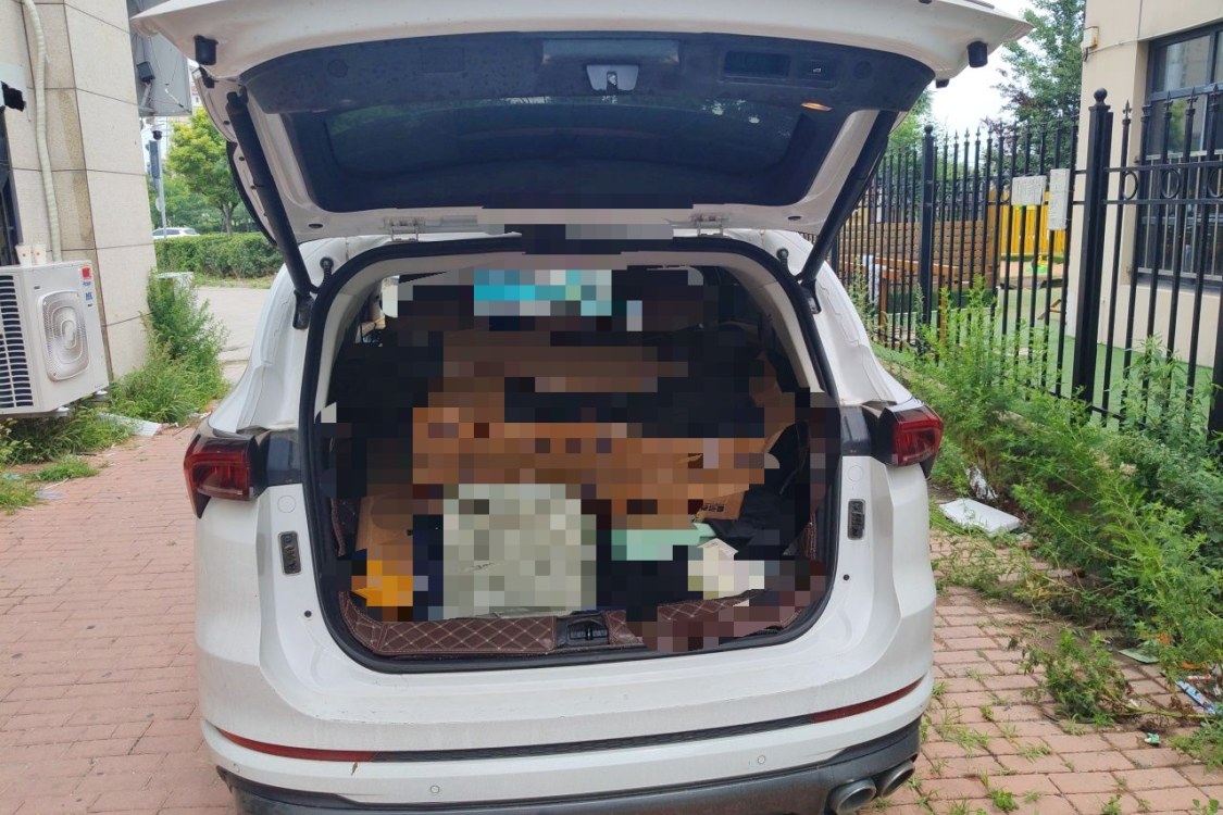 Jetour X70 PLUS 2021 car image #8