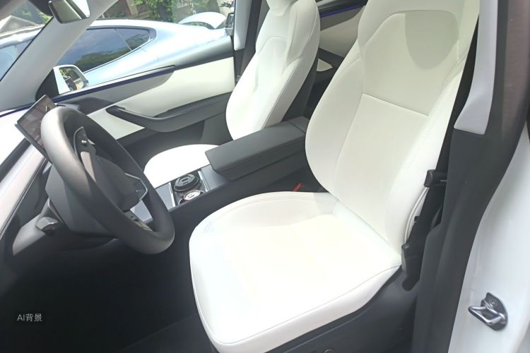 Tesla Model Y 2025 car image #17