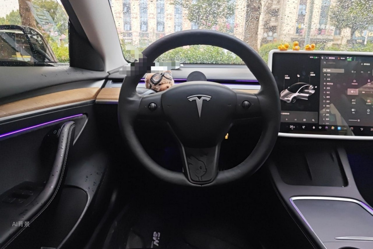 Tesla Model 3 2021 immagine di auto #12