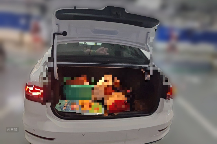 Volkswagen Lavida 2021 car image #21