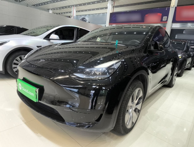 Tesla Model Y 2023 Tesla Model Y 2023 car image