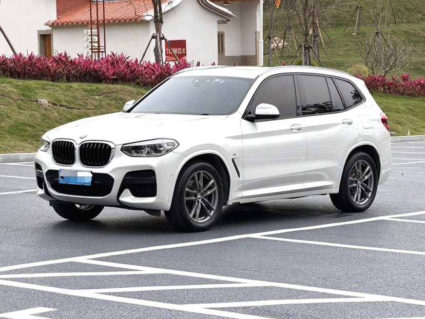 BMW X3 2019 car image 