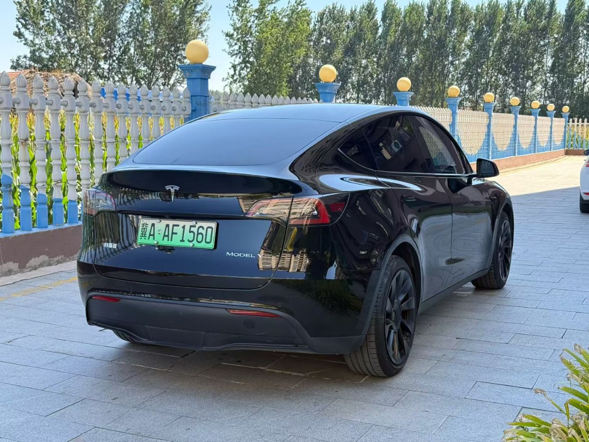 Tesla Model Y 2022 car image #7