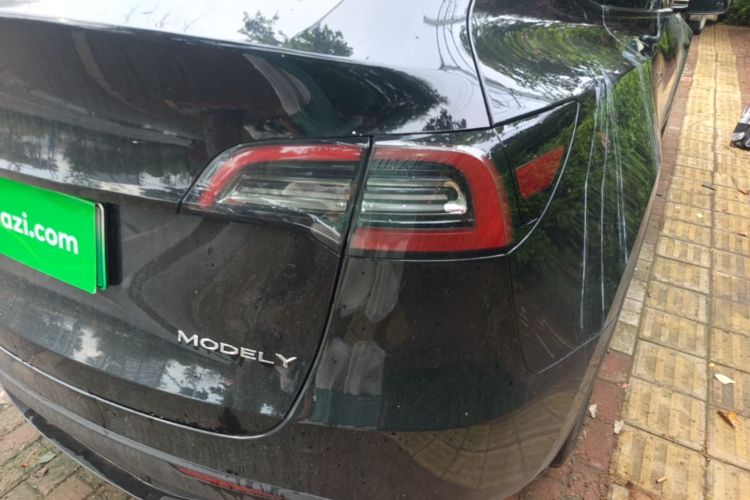 Tesla Model Y 2024 #8 Tesla Model Y 2024 car image #8