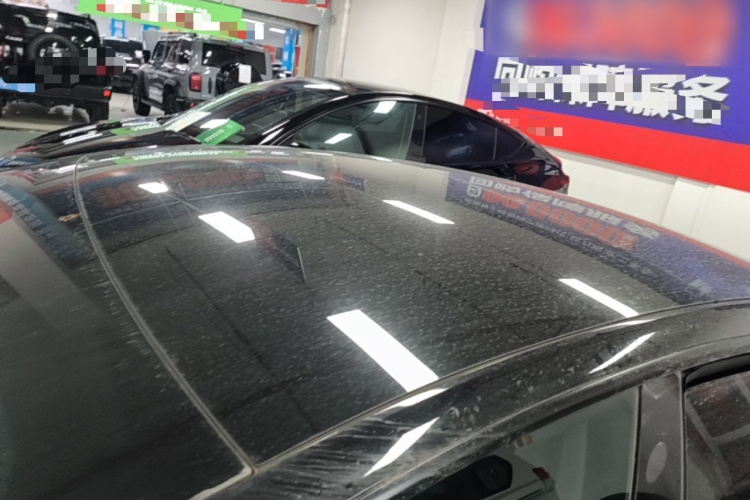 Tesla Model 3 2021 car image #25