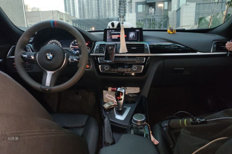 BMW 3 Series GT 2019 car image #11