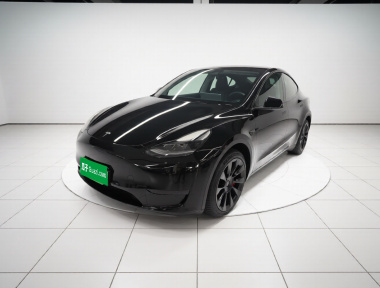 Tesla Model Y 2022 Tesla Model Y 2022 car image