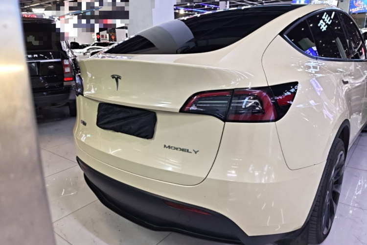 Tesla Model Y 2021 #4 Tesla Model Y 2021 car image #4