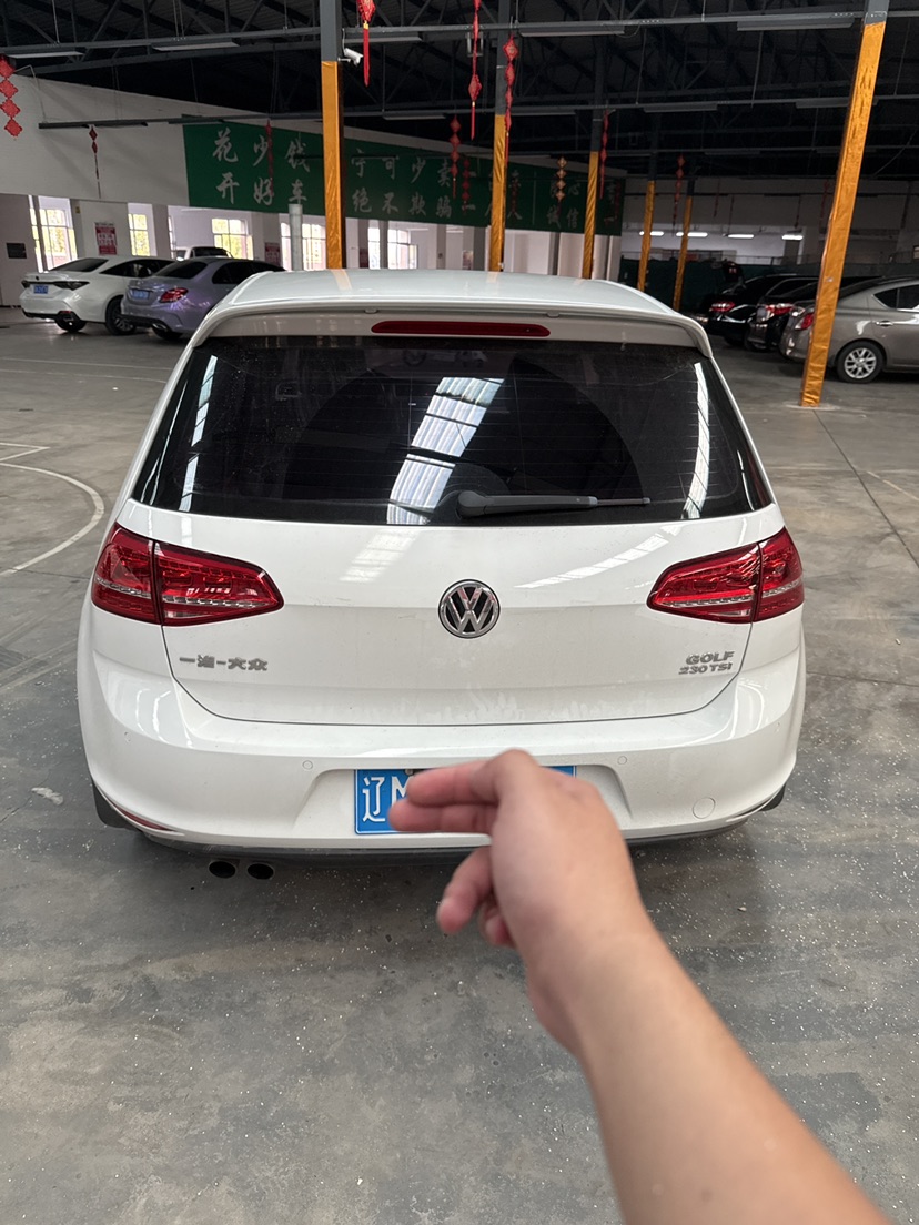 Volkswagen Golf 2016 car image #4