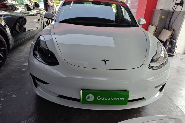Tesla Model 3 2021 immagine di auto #3