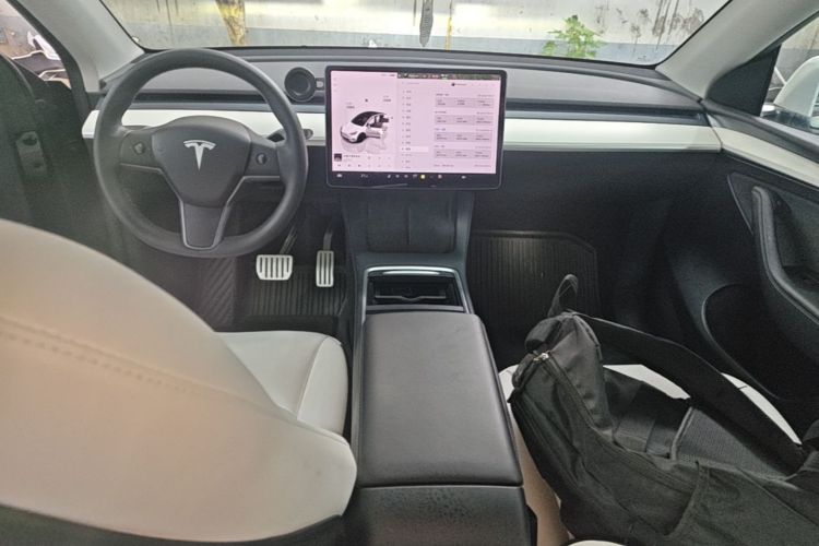 Tesla Model Y 2021 #10 Tesla Model Y 2021 car image #10